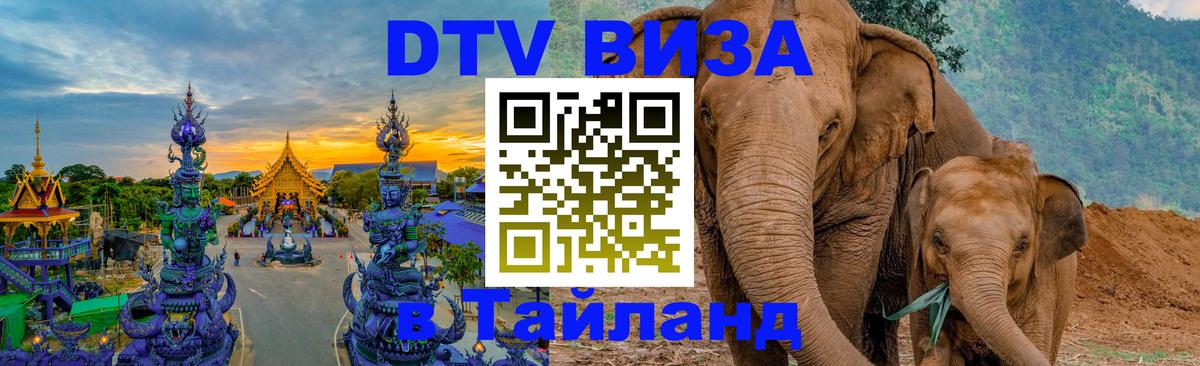 DTV Visa Тайланд купить 
